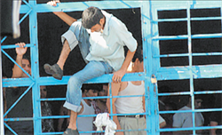 ContentSegment_12374498$W250_H0_R0_P0_S1_V0$Png