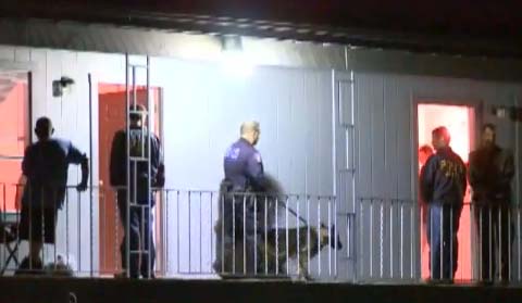 texas_stratiotikivasi