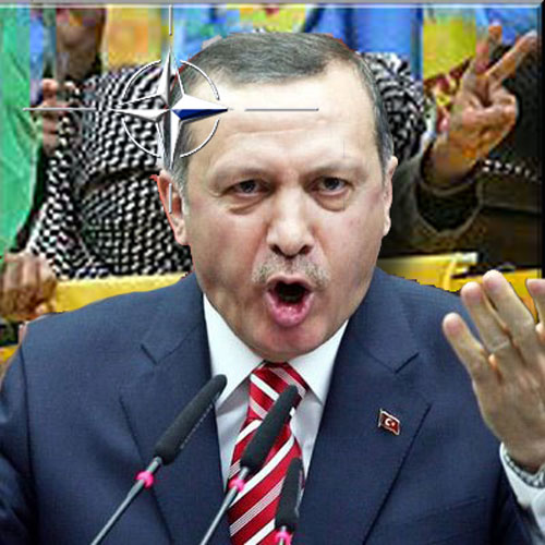 erdogan15dfg