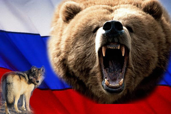 Russian Bear