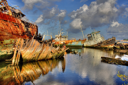 301237890_5ed79f65ce