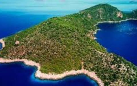 imerisia_LARGE_t_1061_43499181_type12128