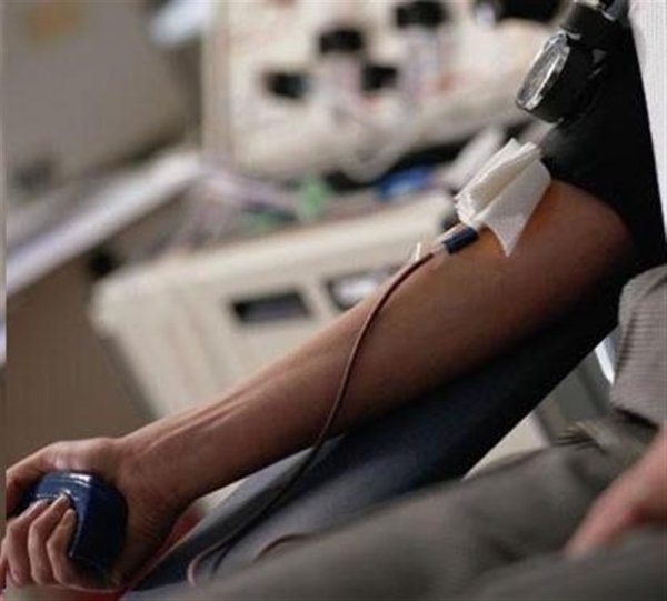 3C0B496D8DED759EF19A6C79D32809C7