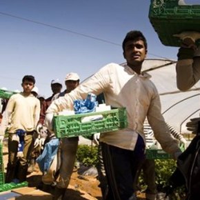 Ισλαμοφασίστες επιστάτες έσφαξαν εργάτες στην Μανωλάδα – Που είναι οι&nbsp;“ευαίσθητοι”;