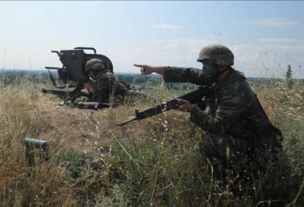 STRATIOTESASKHSH-630x429