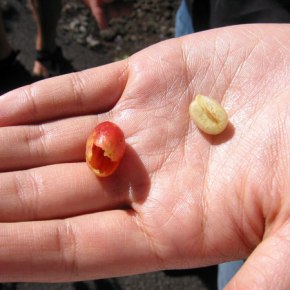 Ο κόσμος χωρίζεται σε δίκαιους και&nbsp;άδικους…