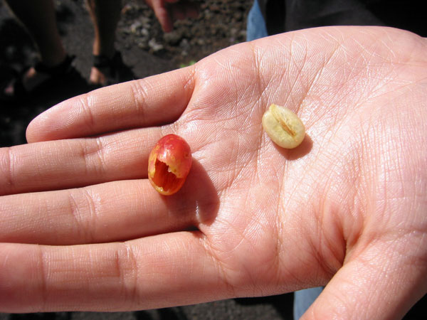 Bδικαιος-αδικος