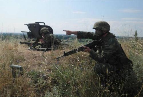 STRATIOTESASKHSH-630x429