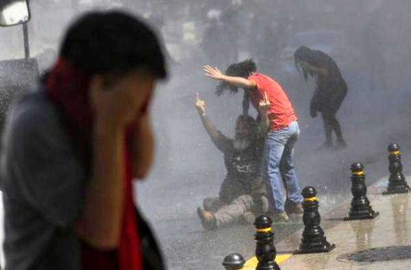 taraxes_water-630x414