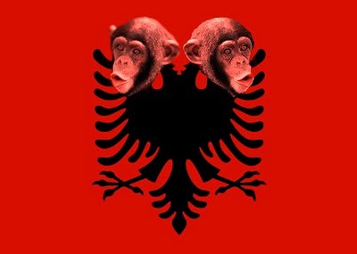ALBANIAN MONKEYS