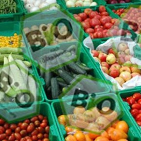 ΠΙΣΤΟΠΟΙΗΣΗ  ΤΙΜΙΟΤΗΤΑΣ  ΚΟΜΜΑΤΩΝ