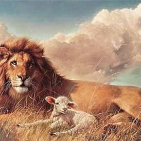 Ο επίδεσμος, τα πρόβατα και τα&nbsp;λιοντάρια
