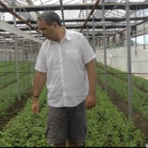 Επίσκεψη του Ν. Λυγερού σε ζεολιθικό θερμοκήπιο χρυσανθέμων. Ιεράπετρα  – Επίσκεψη του Ν. Λυγερού στο φράγμα της&nbsp;Ιεράπετρας