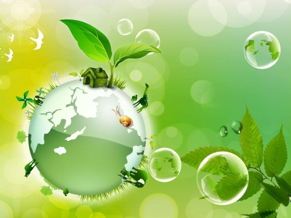 ecology-economy-green-earth