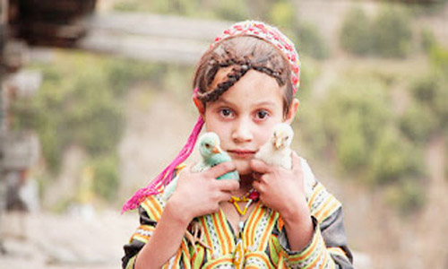 56d78836c9cf0de136c4d2d37aba2280ellines-pakistan.jpg500