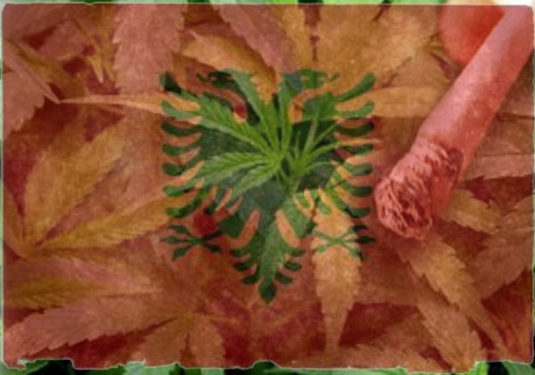 albania-founta-flag_19-134035