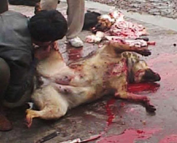 Athina-Islamiki-Proteyousa-3-