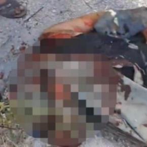 Αποκεφάλισαν τον Σύρο πιλότο – ΒΙΝΤΕΟ&nbsp;ΣΟΚ