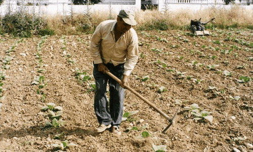 συρρικνωση-αγροτικης-παραγωγης-500x300
