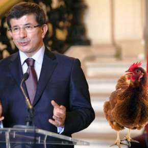 Το…«κοκκοράκι» κάνει ο Τούρκος&nbsp;«λεβέντης»