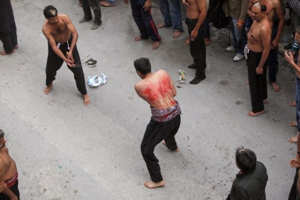 A1b59fcaa56efca5104f11e1b9a9b2182