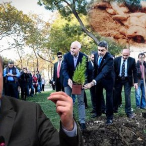 ΚΑΙ Ο «ΓΙΩΡΓΟΣ» ΦΥΤΕΥΕ ΔΕΝΤΡΑ ΠΑΡΑΚΑΤΩ – CHP: «Aν δεν υπήρχε ο Κεμάλ θα μας έλεγαν όλους&nbsp;Γιώργο»