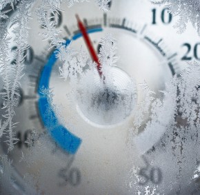 ΔΕΝ ΠΡΕΠΕΙ ΝΑ ΧΑΘΟΥΝ ΑΛΛΕΣ ΖΩΕΣ – Πλησιάζει παγωνιά-φονιάς από την Τρίτη – Βοηθήστε τους&nbsp;αδύναμους