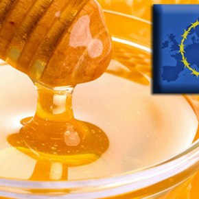 Ευρωκοινοβούλιο: Απόφαση σε βάρος του ελληνικού&nbsp;μελιού