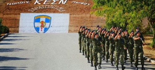 stratonomia-karditsa