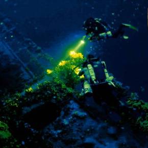 ΑΠΟΣΤΟΛΗ ΤΙΜΗΣ ΓΙΑ ΤΟ ΛΣ/ΑΚΤΟΦΥΛΑΚΗ – Φαρμακονήσι: Η ΜΥΑ/ΛΣ καταδύθηκε στα 73 μέτρα και ανέσυρε την …&nbsp;αλήθεια!