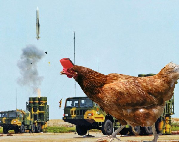 chicken-is--always-a-coward