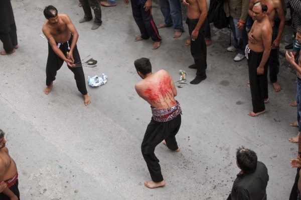 Lathrometanastes_mousoulmanoi_automastigoma_Peiraias_2013_3