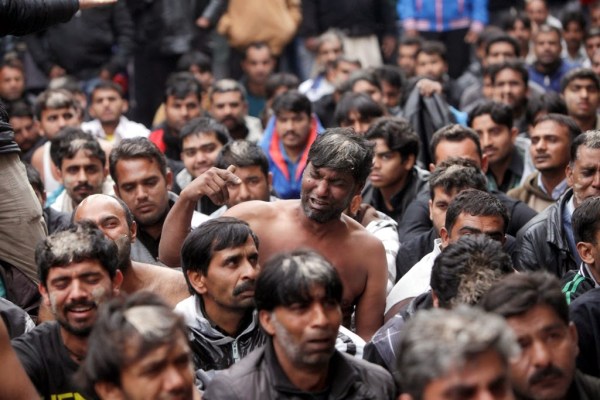 Lathrometanastes_mousoulmanoi_automastigoma_Peiraias_2013_5