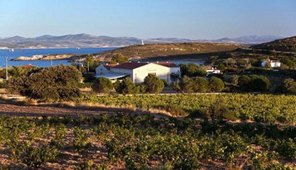 Επιστρέφουν οι Έλληνες στην Τουρκία;