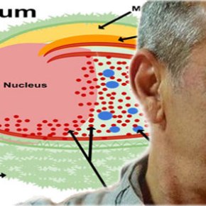 ΘΡΙΛΕΡ ΜΕ ΤΟΝ ΜΥΣΤΗΡΙΩΔΗ ΘΑΝΑΤΟ ΓΝΩΣΤΟΥ ΜΟΡΙΑΚΟΥ&nbsp;ΒΙΟΛΟΓΟΥ