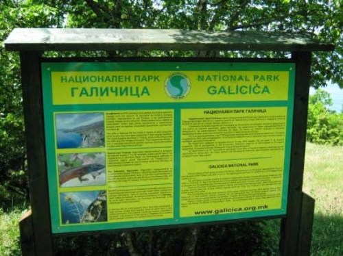 galicica