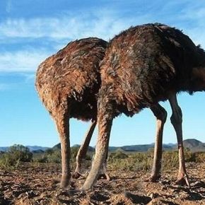 Αυτή τη στιγμή έχουμε 2,5 εκατ. πολίτες off&nbsp;line