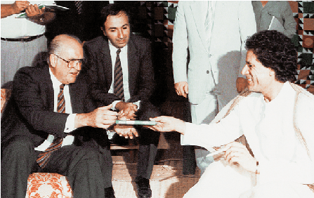 kantafi-papandreou-green-book