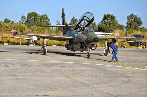 18c37-2014-08-05_voles_120pea_02