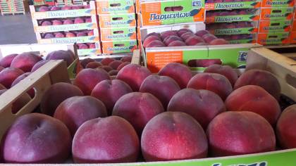 38-2--4-thumb-medium