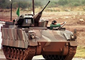 b_300_200_16777215_00_images_elvow