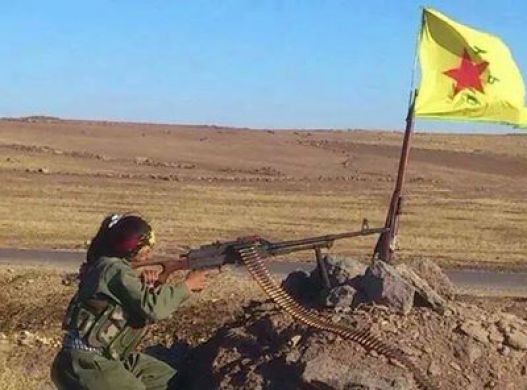 1528c7142a02ed90f8b668299c85bd4e