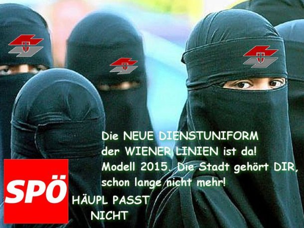 winer-linien-die-stadt-gehc3b6rt-dir