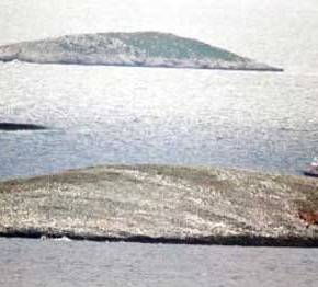 Πάλι βρέθηκαν αντιμέτωπα το τουρκικό υποβρύχιο και το ελληνικό&nbsp;σκάφος