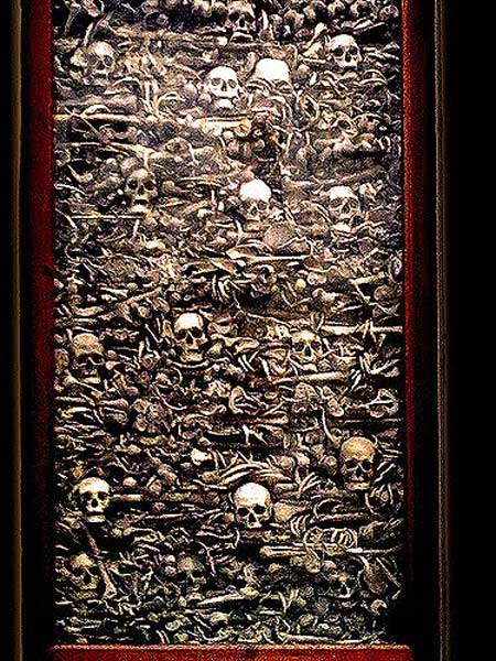 AAA_48647565_5043f45923