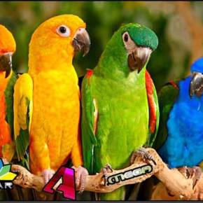 Στο απυρόβλητο οι καναλάρχες, νέα παράταση για τις&nbsp;άδειες.