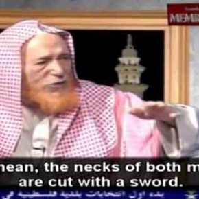 Σαουδάραβας ιμάμης εξηγεί πώς πρέπει να σκοτώνονται οι ομοφυλόφιλοι&nbsp;[βίντεο]