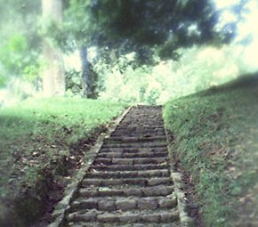 Τα δώδεκα βήματα της&nbsp;επανάστασης