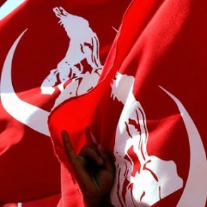 ΓΚΡΙΖΟΙ ΛΥΚΟΙ ΣΤΗΝ&nbsp;ΕΥΡΩΠΗ