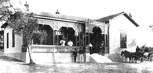 στροφίλι-κηφισιάς-2